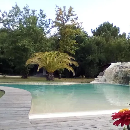 La Bergeronnette Ferienhaus *