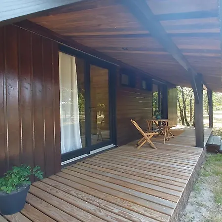 La Bergeronnette *