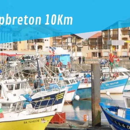 La Bergeronnette * Ondres